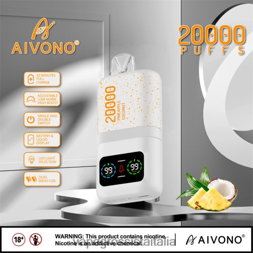 gelato al cocco e ananas