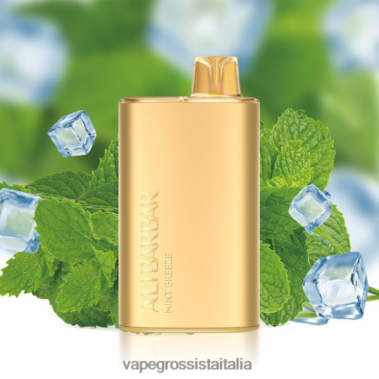 Vape Italia Senigallia - Alibarbar Rich 8000 vaporizzatori usa e getta brezza di menta 8TR48B8