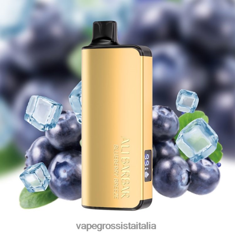 Vape Grossista Italia - Alibarbar Ingot 20000 vaporizzatori usa e getta brezza di mirtillo 8TR48B32