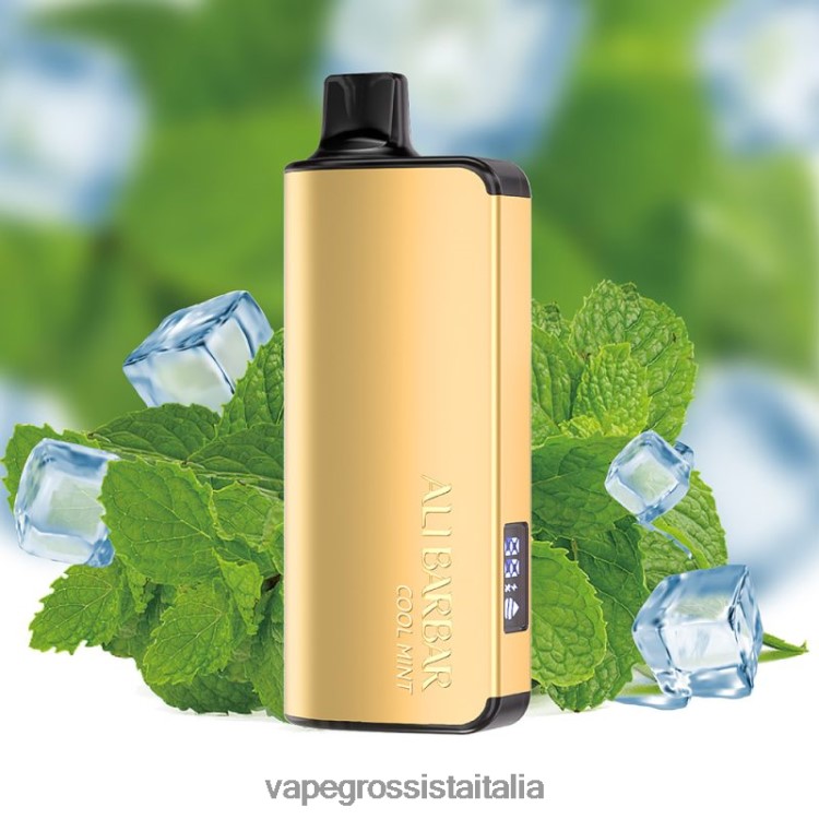 Vape Italia Osimo - Alibarbar Ingot 20000 vaporizzatori usa e getta menta fresca 8TR48B35