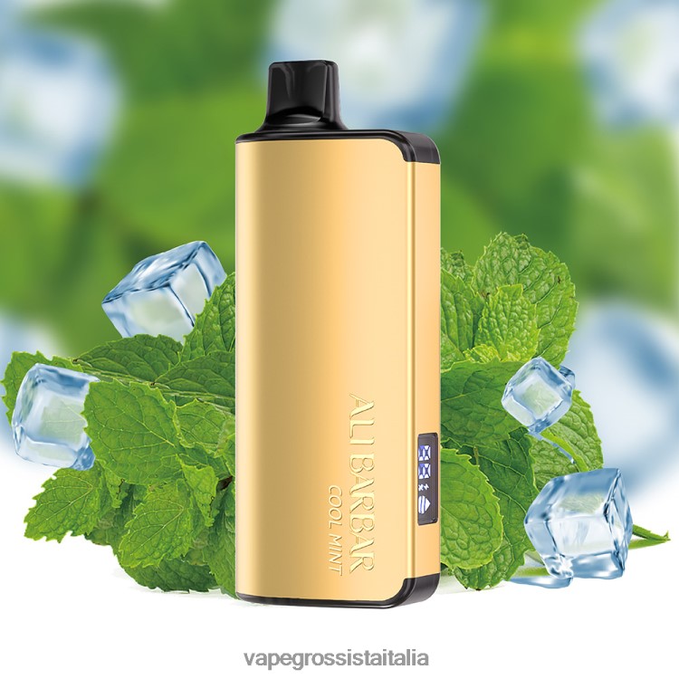 Vape Italia Senigallia - Alibarbar Ingot 9000 vaporizzatore usa e getta menta fresca 8TR48B18