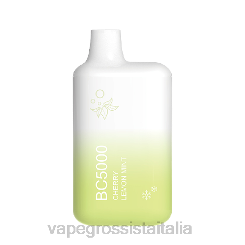 Vape Grossista Italia - menta limone V620302 ELFBAR BC5000