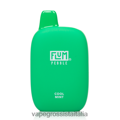 Vape Italia Fano - FLUM PEBBLES 6000 sbuffi menta fresca 48R0XP26