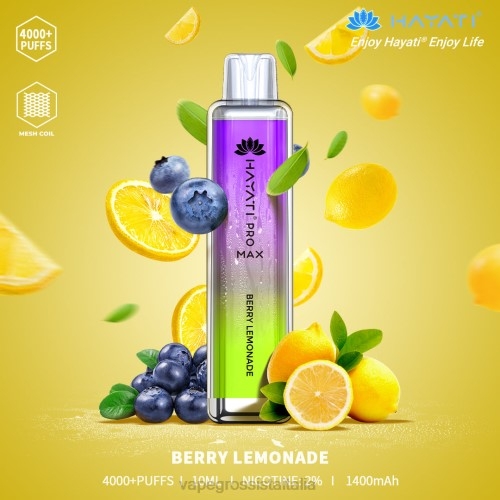 limonata ai frutti di bosco