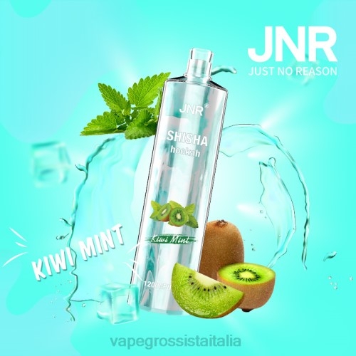 Vape All'Ingrosso - menta di kiwi V620681 JNR SHISHA