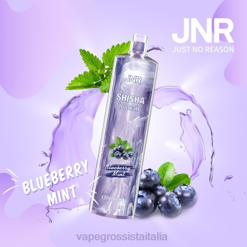 menta di mirtilli