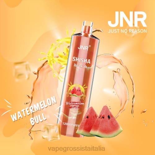Vape Grossista Italia - toro di anguria V620692 JNR SHISHA