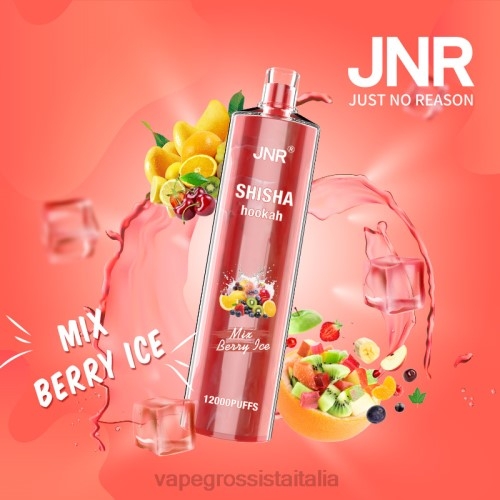Vape Italia Osimo - mescolare il ghiaccio ai frutti di bosco V620685 JNR SHISHA