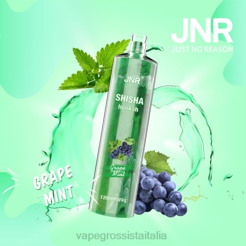 Vape Italia Senigallia - menta d'uva V620678 JNR SHISHA