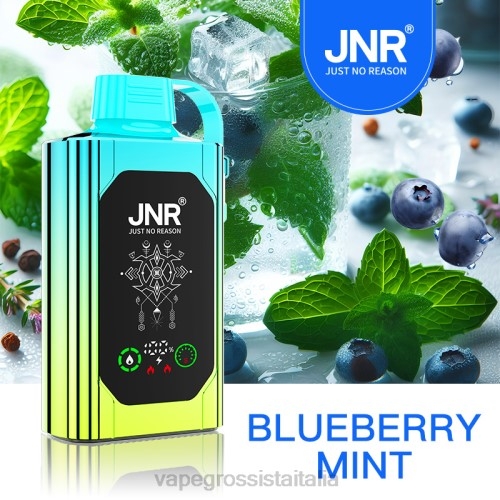 Vape Italia Senigallia - menta di mirtilli V620618 JNR SHISHA BOX