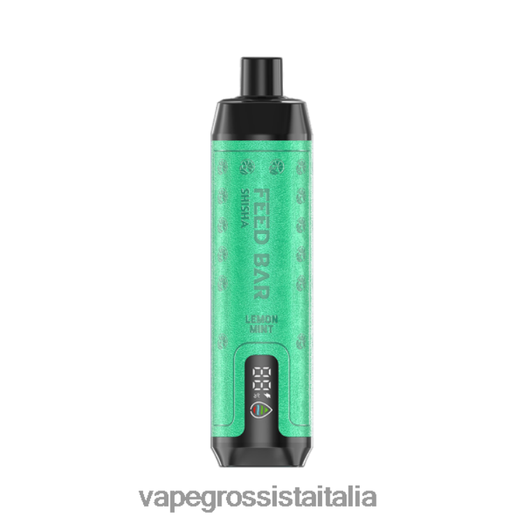 Vape All'Ingrosso - Vapsolo SHISHA vaporizzatore usa e getta menta limone 8TR48B101