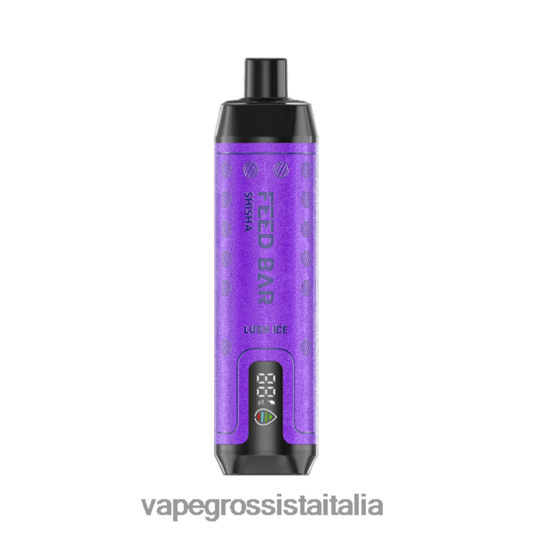 Vape Grossista Italia - Vapsolo SHISHA vaporizzatore usa e getta ghiaccio rigoglioso 8TR48B102