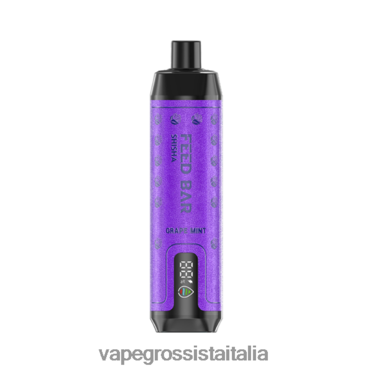 Vape Italia Recensioni - Vapsolo SHISHA vaporizzatore usa e getta menta d'uva 8TR48B100