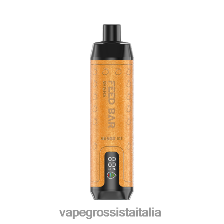 Vape Italia - Vapsolo SHISHA vaporizzatore usa e getta ghiaccio al mango 8TR48B103