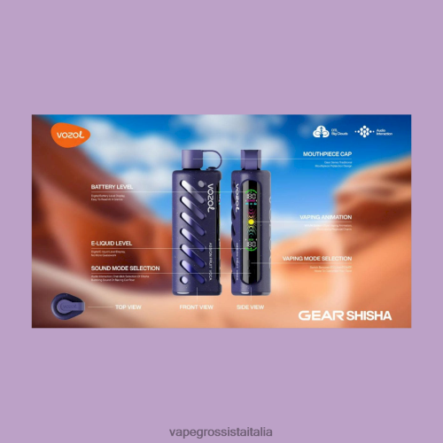 Vape All\'Ingrosso - VOZOL narghilè 25000 multi 48R0XP1