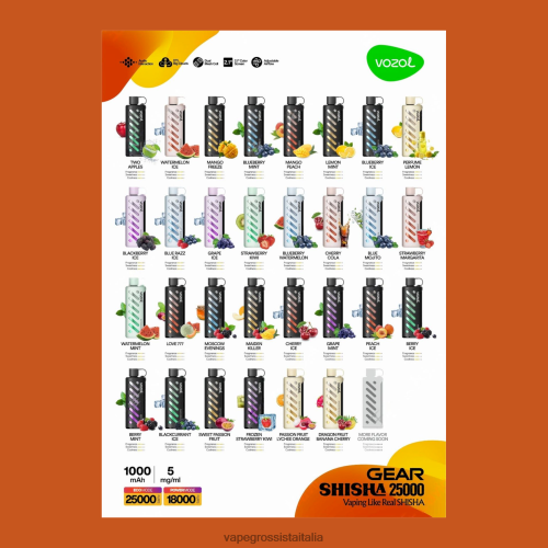 Vape All\'Ingrosso - VOZOL narghilè 25000 multi 48R0XP1