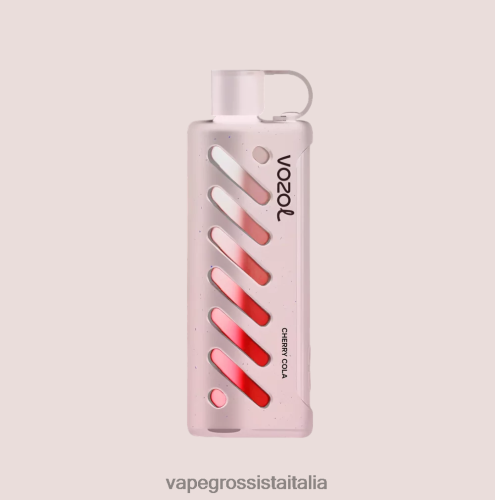 Vape All\'Ingrosso - VOZOL narghilè 25000 multi 48R0XP1