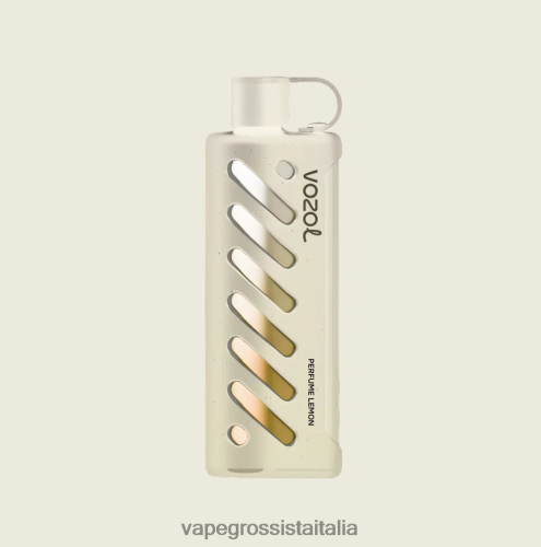 Vape All\'Ingrosso - VOZOL narghilè 25000 multi 48R0XP1