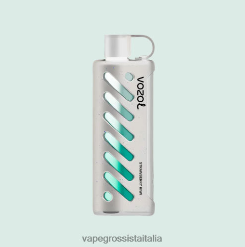 Vape All\'Ingrosso - VOZOL narghilè 25000 multi 48R0XP1