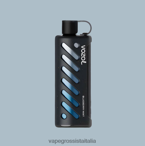 Vape All\'Ingrosso - VOZOL narghilè 25000 multi 48R0XP1