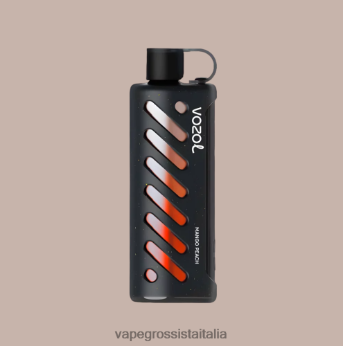 Vape All\'Ingrosso - VOZOL narghilè 25000 multi 48R0XP1