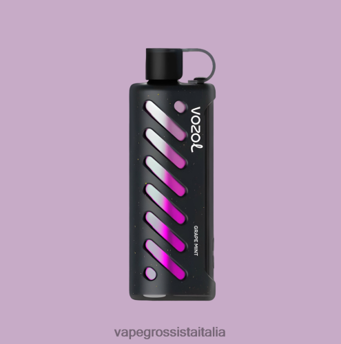 Vape All\'Ingrosso - VOZOL narghilè 25000 multi 48R0XP1