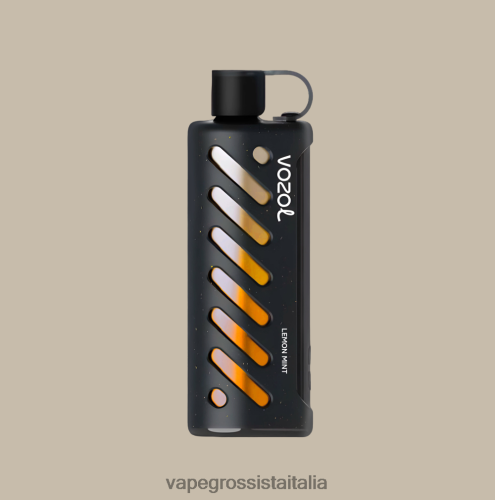 Vape All\'Ingrosso - VOZOL narghilè 25000 multi 48R0XP1